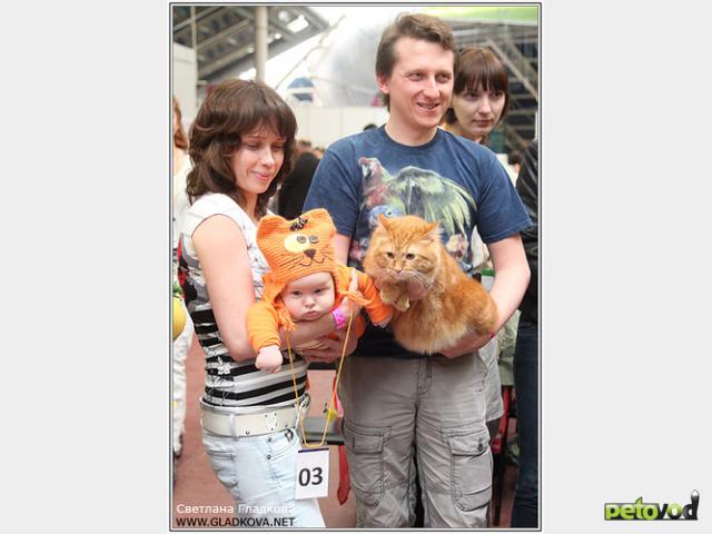 Предлагаю услуги: Выставка кошек CATS ФОРУМ -2012