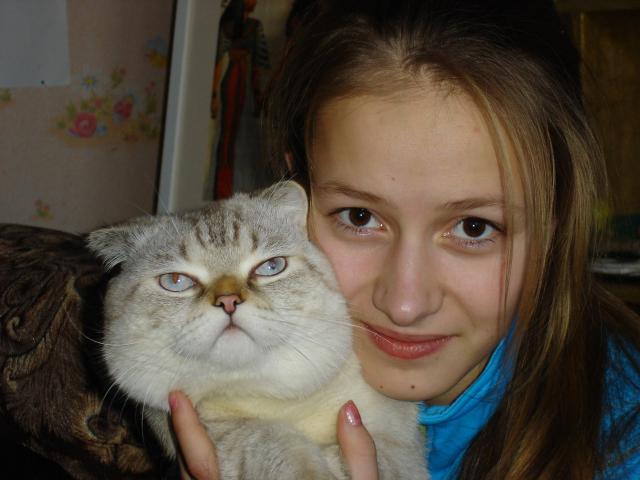 Потерялся/Нашелся: Похищен белый британский кот, Нижнекамск