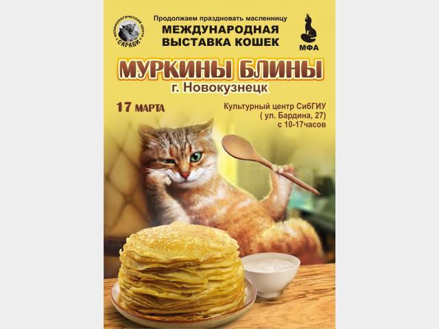 Продаю: Международная выставка кошек в Новокузнецке 